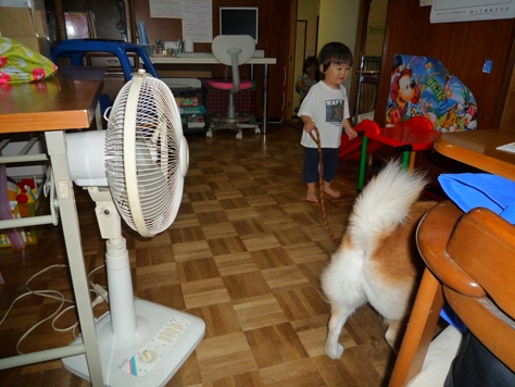 e0123286_19301321.jpg