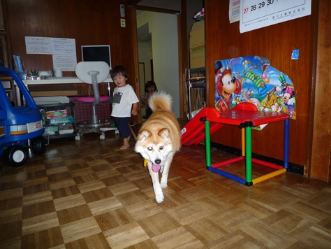 e0123286_19344992.jpg