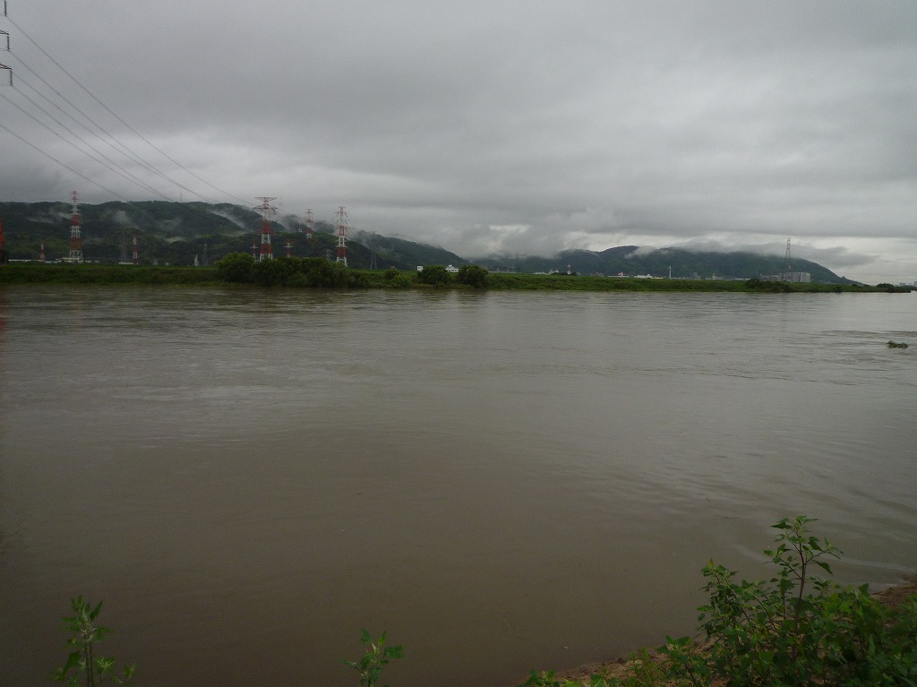 a0118289_815248.jpg