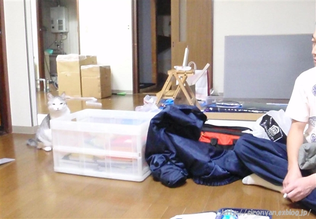 a0159490_13112760.jpg