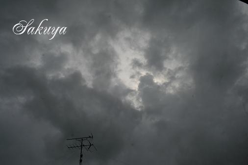 e0122194_1353123.jpg