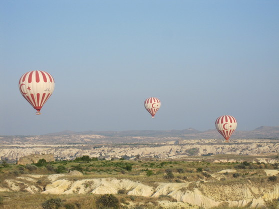 f0153998_014568.jpg
