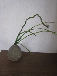e0033301_13134951.jpg