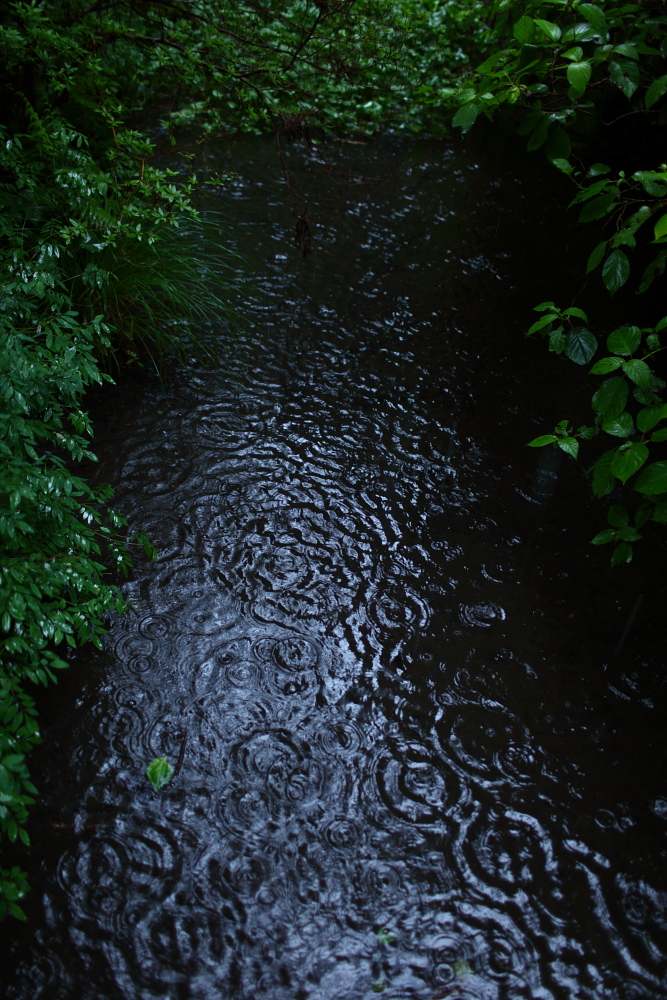 a0155104_2314380.jpg