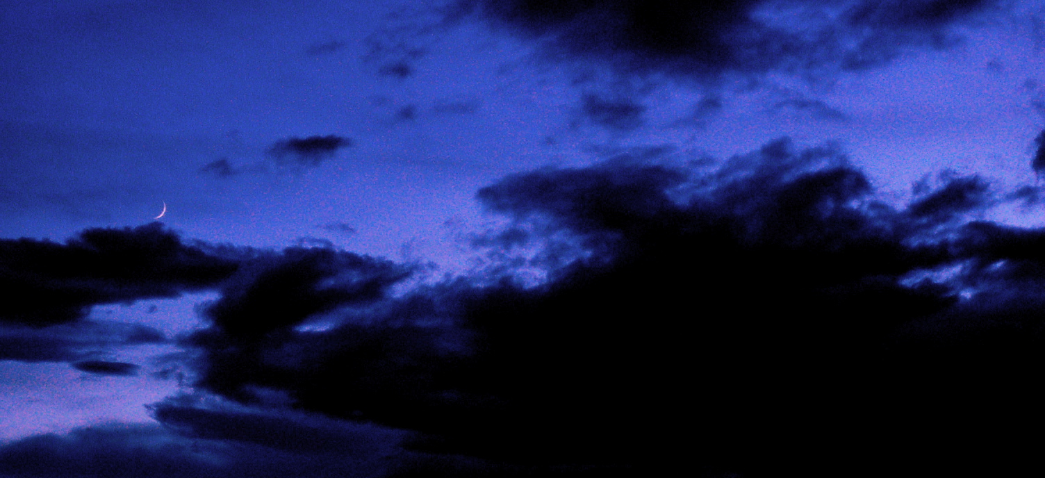 a0157704_4245463.jpg