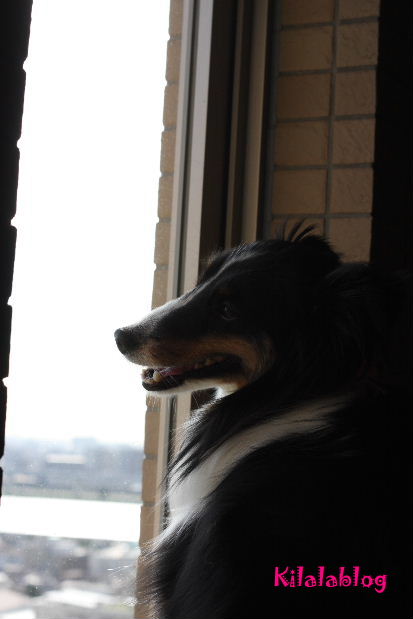 e0130008_20125712.jpg