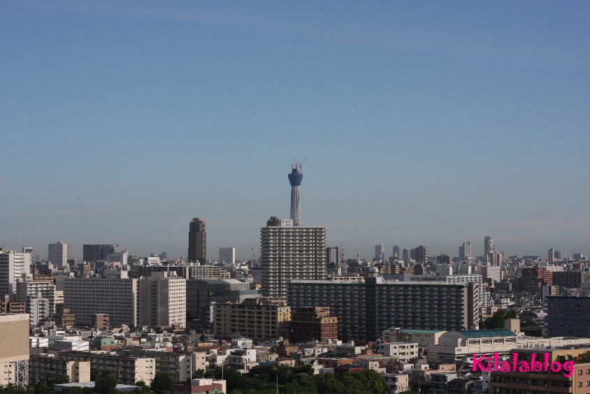 e0130008_20291281.jpg