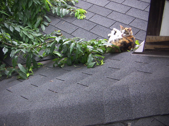 f0173908_17531542.jpg