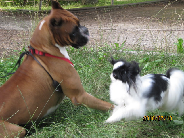 c0200916_21415559.jpg