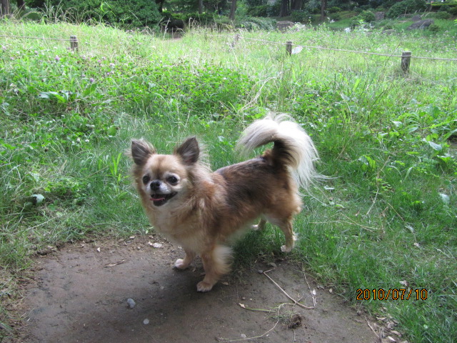 c0200916_21472066.jpg