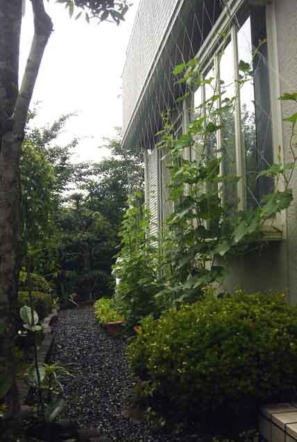 e0083820_8542016.jpg