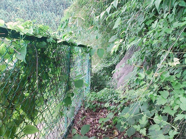 b0184725_22294941.jpg