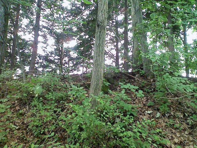 b0184725_23281131.jpg
