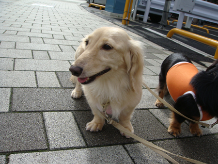 c0117831_973735.jpg