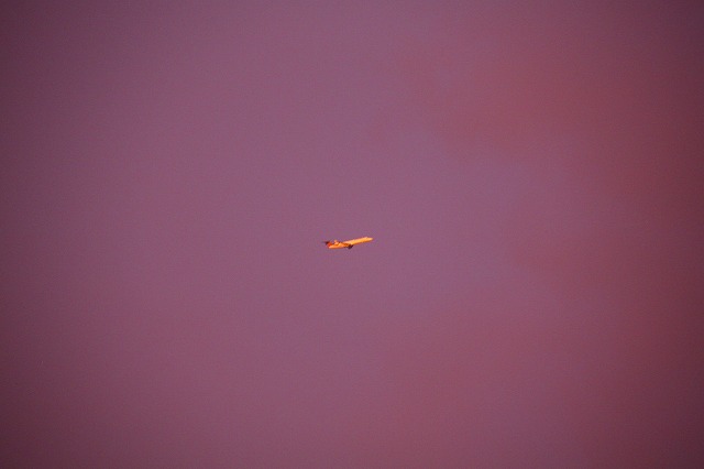 c0153740_629154.jpg
