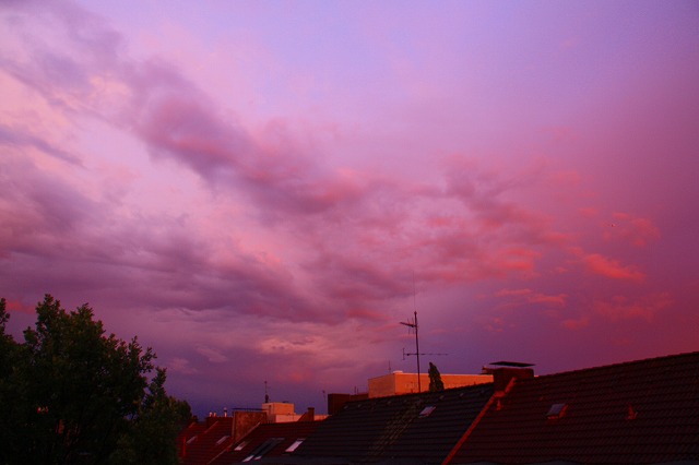 c0153740_6335418.jpg