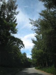 e0080641_1051468.jpg