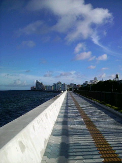 e0080641_9411850.jpg