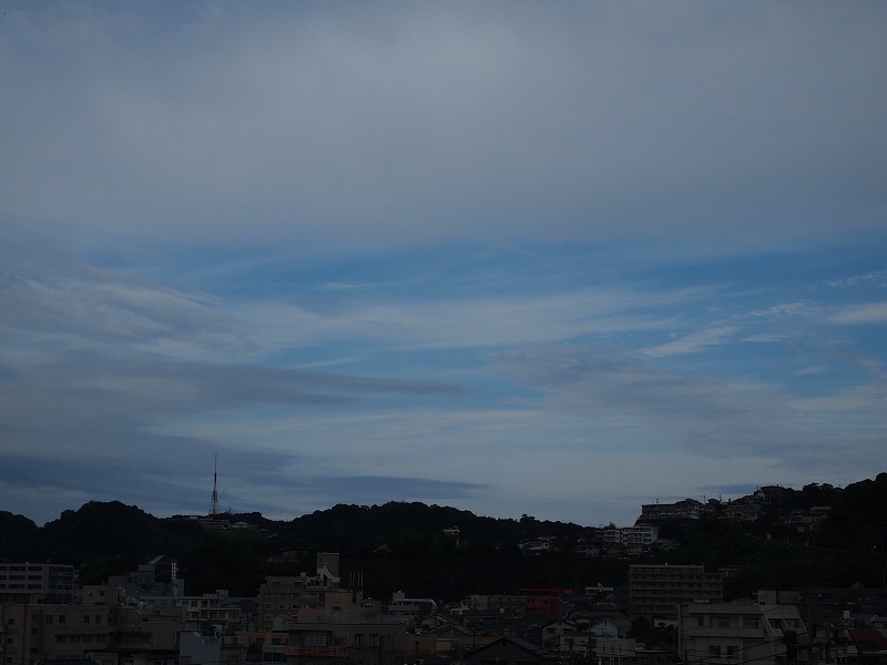 a0146442_7535425.jpg