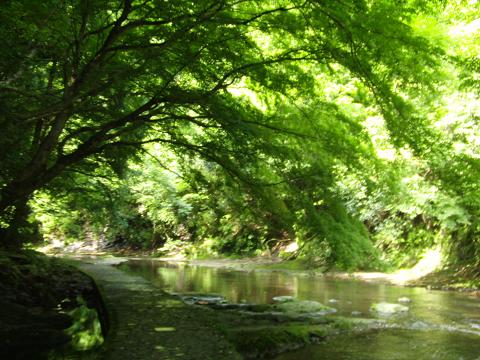 c0156345_12133058.jpg