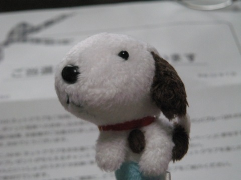 a0009750_17535978.jpg
