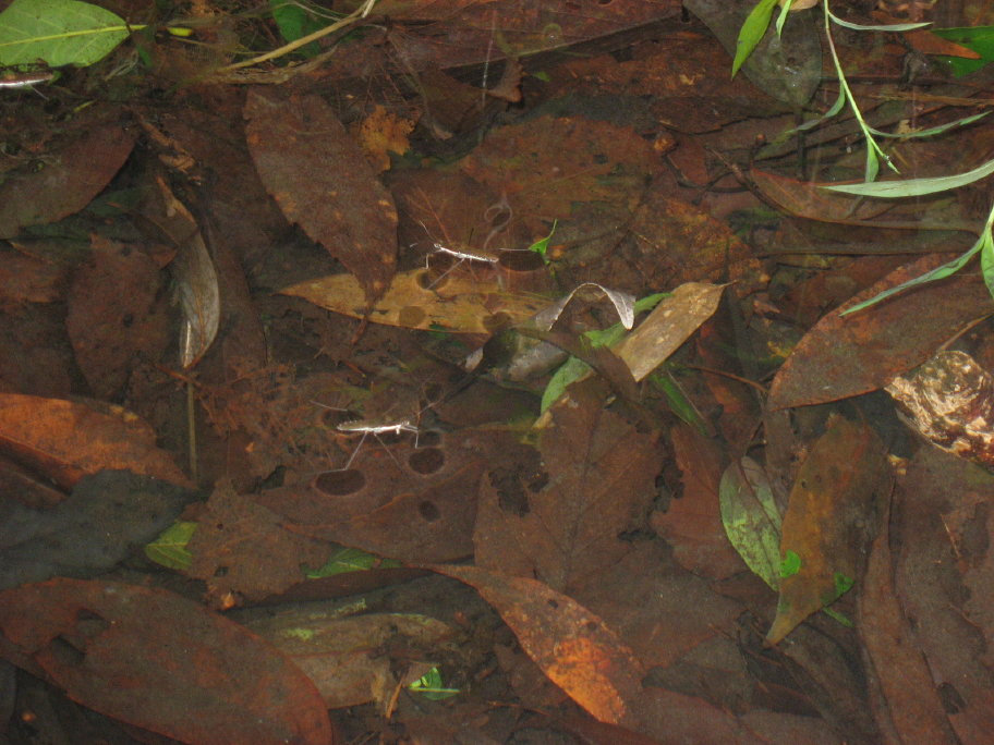 f0089352_132888.jpg