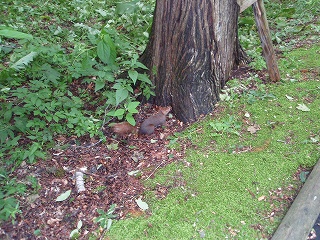 e0004756_8422828.jpg