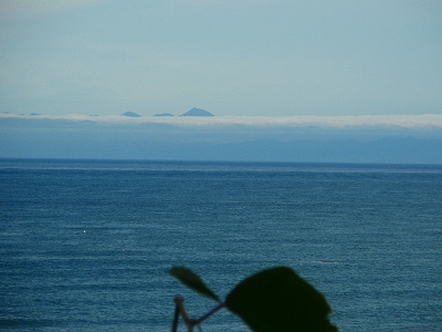 e0004756_925591.jpg