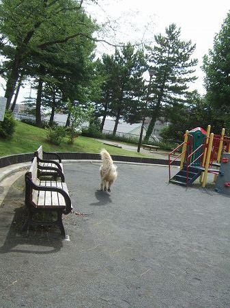 c0097558_15415643.jpg