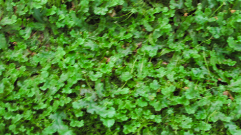 e0175258_16444732.jpg