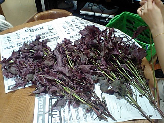 d0150060_21175436.jpg