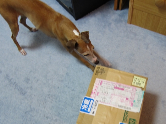 f0158862_20392756.jpg