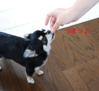 f0065768_15542790.jpg