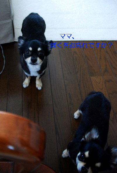 f0065768_160111.jpg