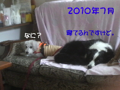 f0203369_1957911.jpg