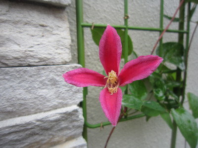 c0202870_652202.jpg
