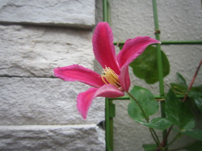c0202870_65233100.jpg