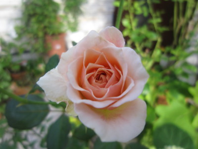 c0202870_711879.jpg