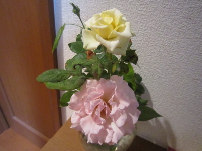 c0202870_721248.jpg