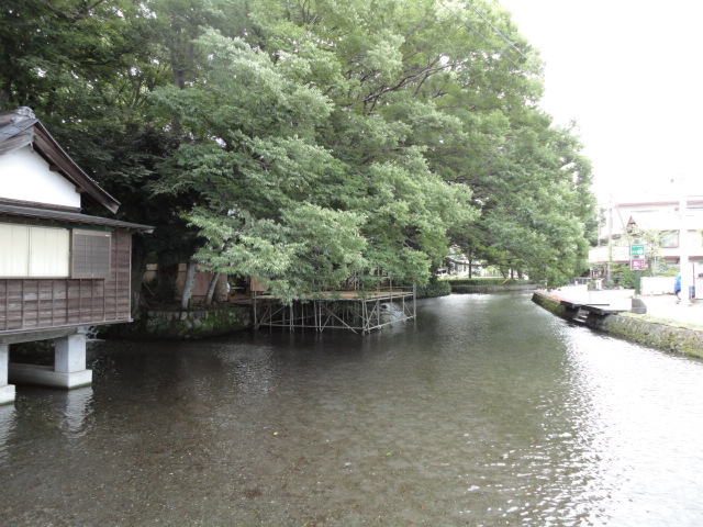 d0109373_1333254.jpg