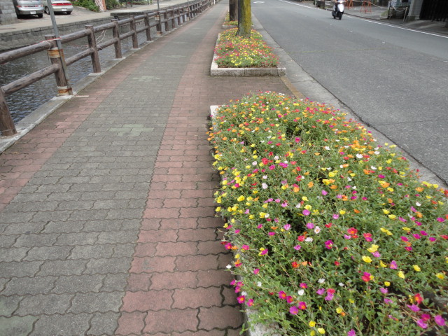 d0109373_135375.jpg