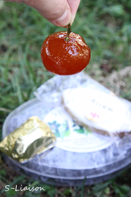 b0139477_22492054.gif