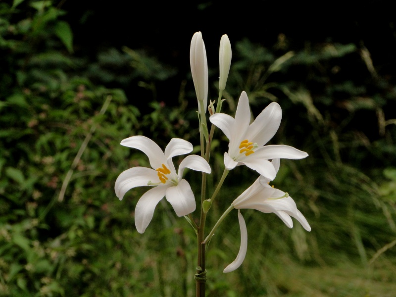 c0183777_8343879.jpg