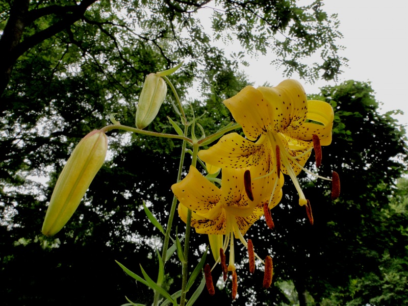 c0183777_8372126.jpg