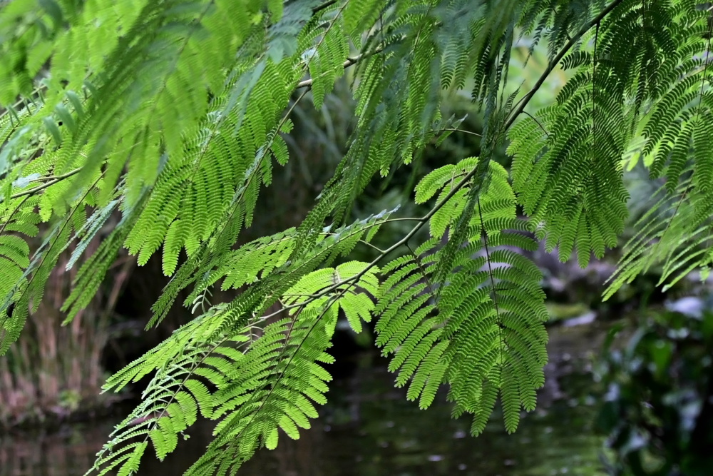 a0083081_14473221.jpg