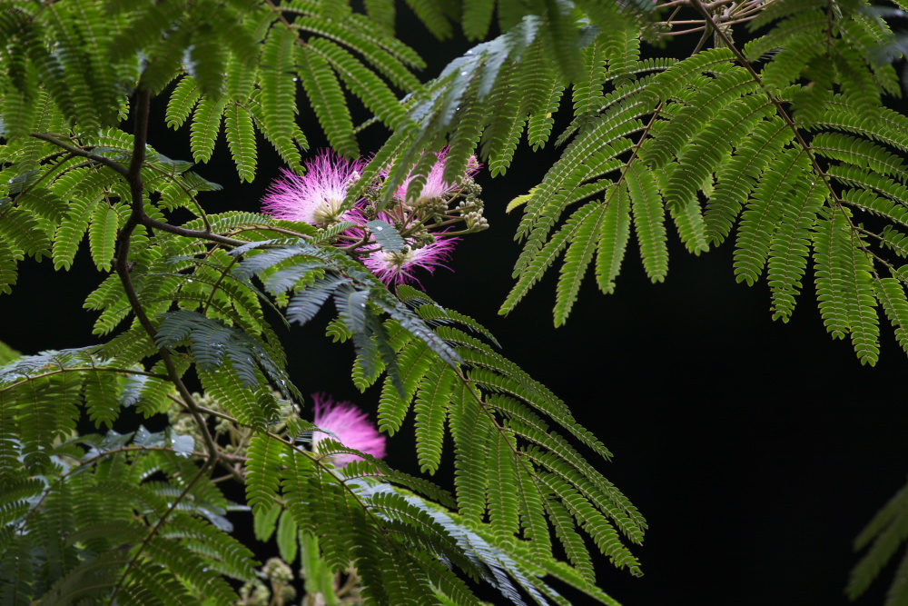 a0083081_1448163.jpg