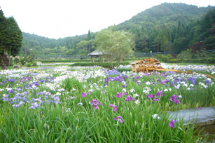 f0091282_22441160.jpg