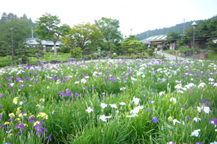 f0091282_22442779.jpg