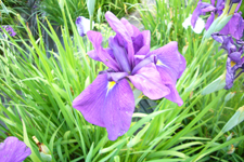 f0091282_22471986.jpg