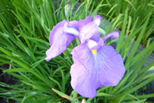 f0091282_22481764.jpg
